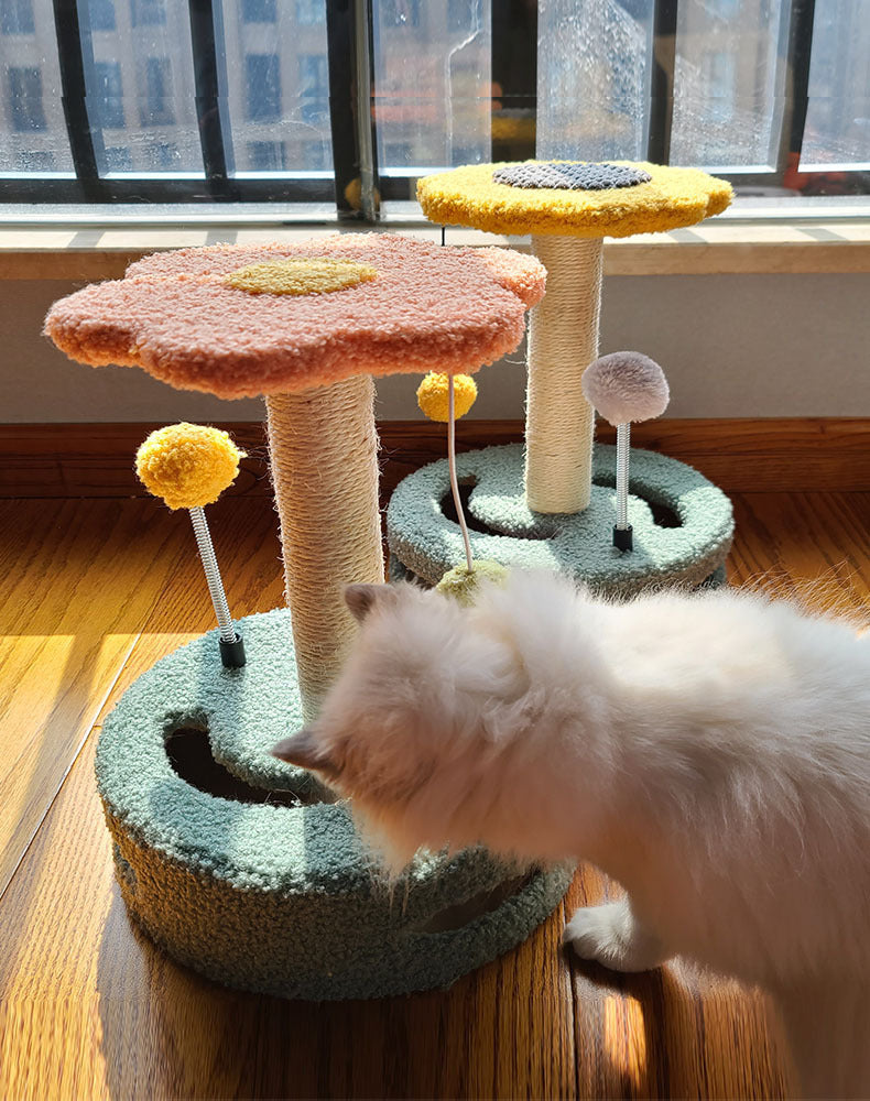 Stop Cat from Scratching furniture / grinding claws with Cat Scratch Board