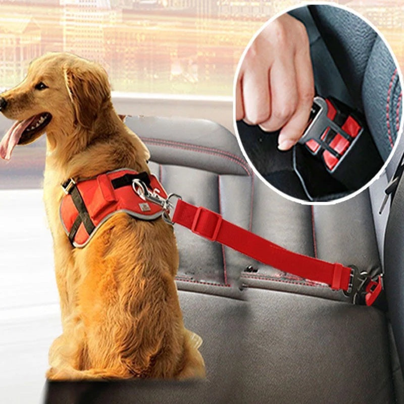 Keep your Animal Safe in Vehicles with Adjustable Pet Car Seat Belt