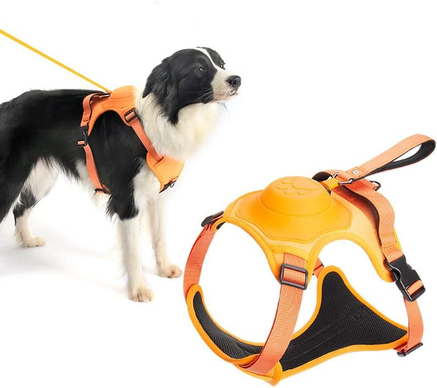 Superidag 2 in 1 Dog Harness with Retractable Cord