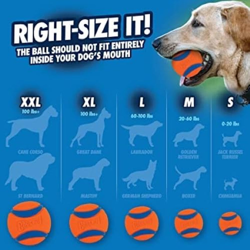Ultra Ball Dog Toy with  Cleaning Bucket Bundle - Bouncy Fetch Pet Toys for Dogs 20-60 Lbs - Floats in Water - Durable Rubber - Size Medium - 2.5-Inch Diameter - 8-Pack of Balls
