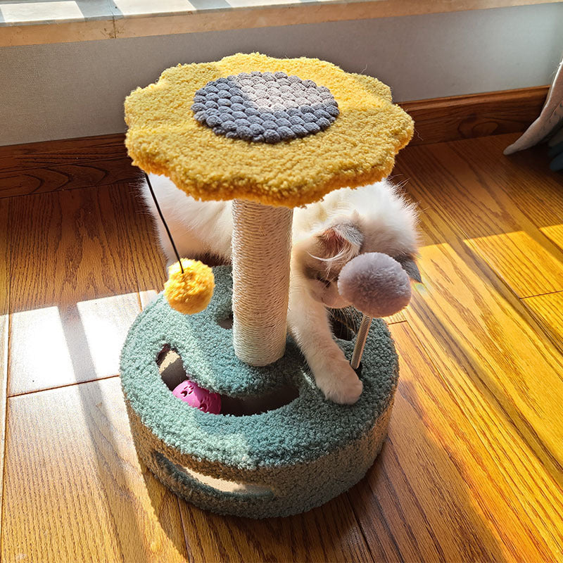 Stop Cat from Scratching furniture / grinding claws with Cat Scratch Board