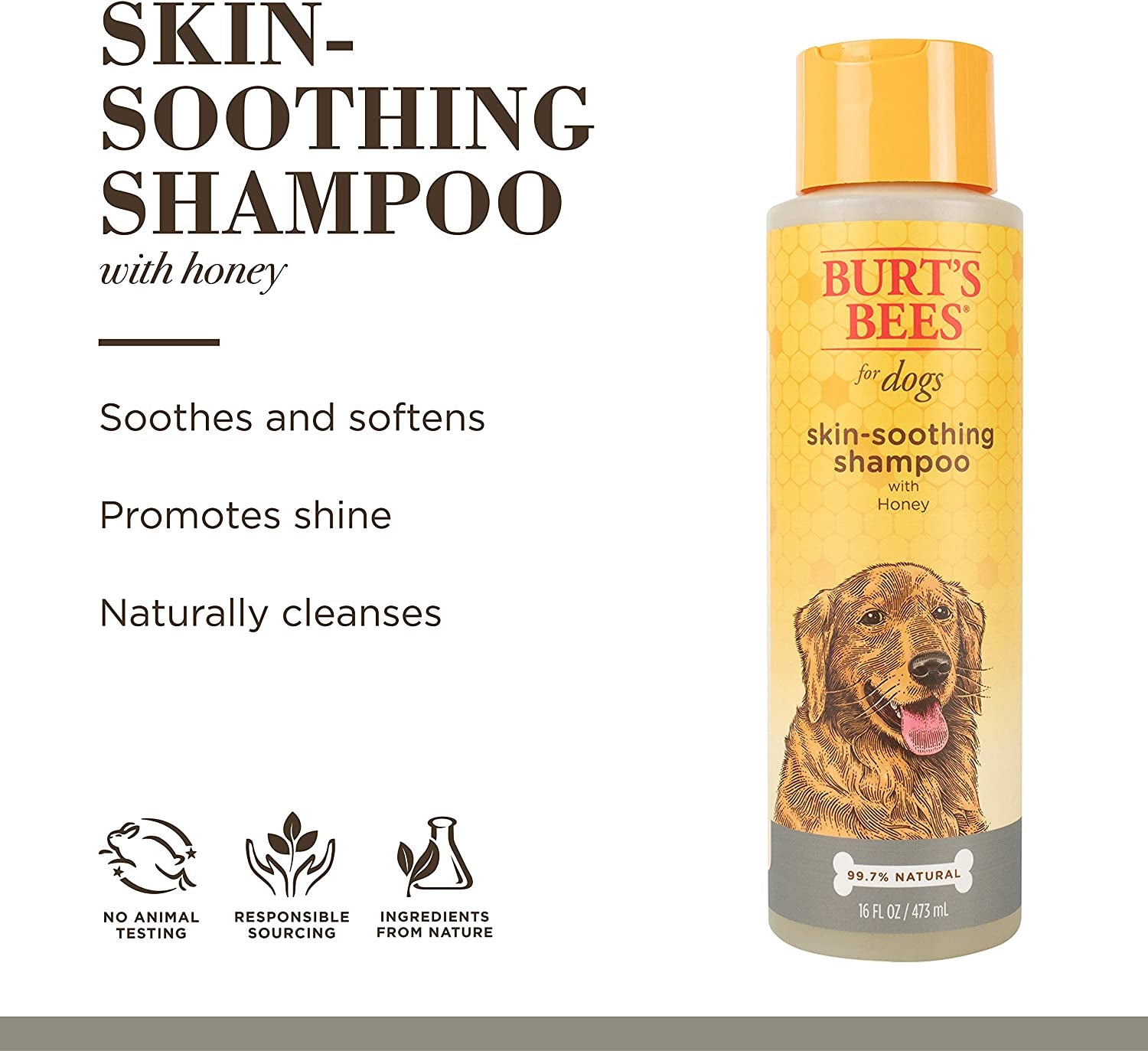 Natural Skin Soothing Shampoo with Honey | Dog Shampoo for All Dogs and Puppies | Safe for Dogs with Dry and Sensitive Skin | Ph Balanced for Dogs - Made in USA, 16 Ounces,Red