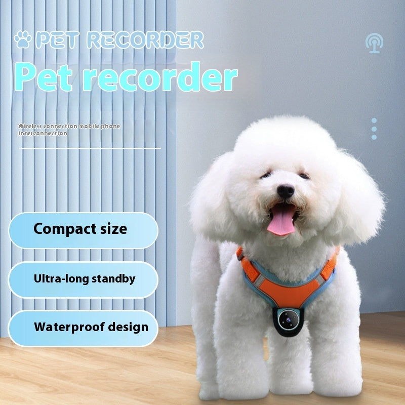 Track your Pets! Record & GPS Collar  forDogs And Cats . Motion Recording Camera only $89.99