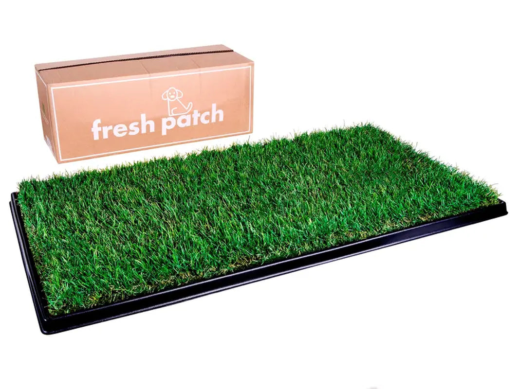 Fresh Patch XL Combo Pack [XL Patch + XL Plastic Tray]