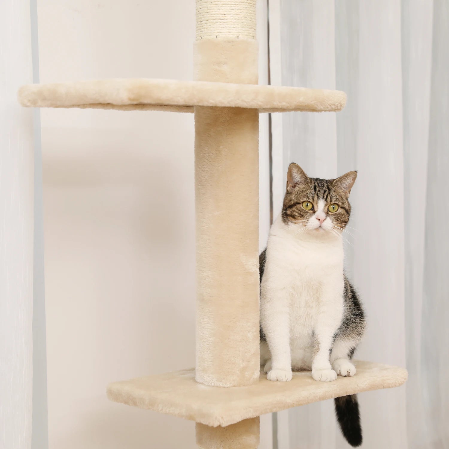 Adjustable 228-274cm Height Floor-to-Ceiling Vertical Cat Tree Stable Tall Cat Climbing Tree Cat Kittens Cat Toy