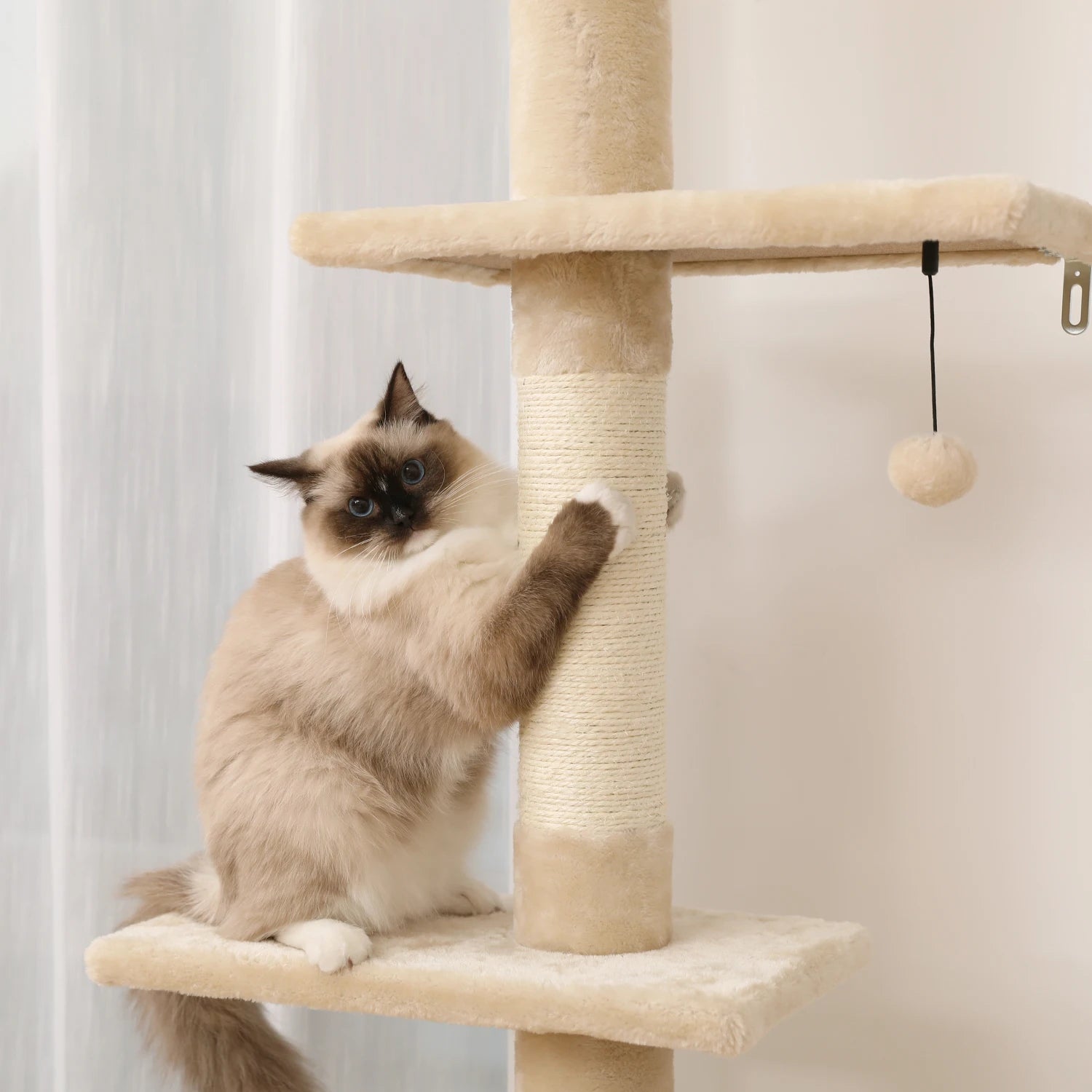 Adjustable 228-274cm Height Floor-to-Ceiling Vertical Cat Tree Stable Tall Cat Climbing Tree Cat Kittens Cat Toy