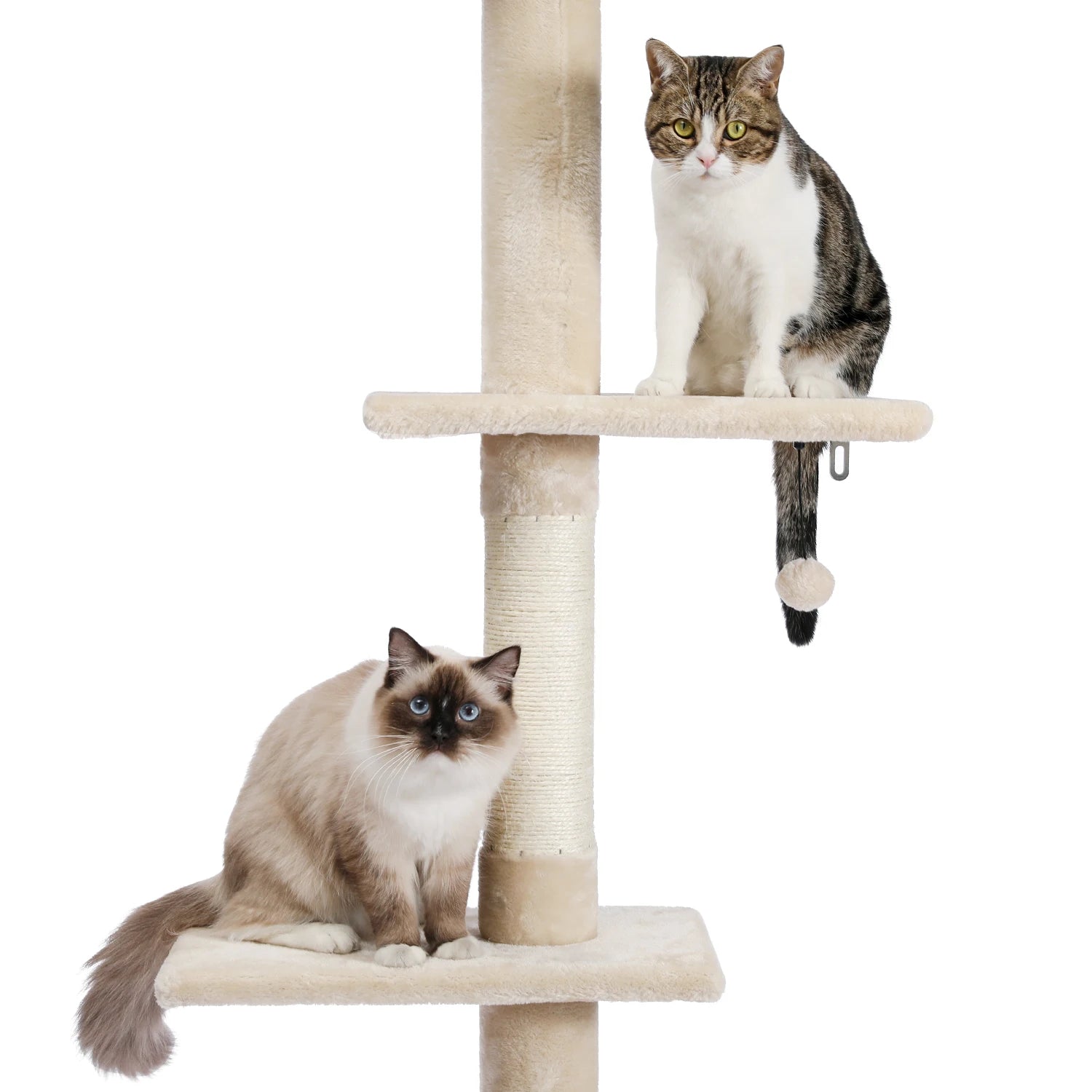 Adjustable 228-274cm Height Floor-to-Ceiling Vertical Cat Tree Stable Tall Cat Climbing Tree Cat Kittens Cat Toy