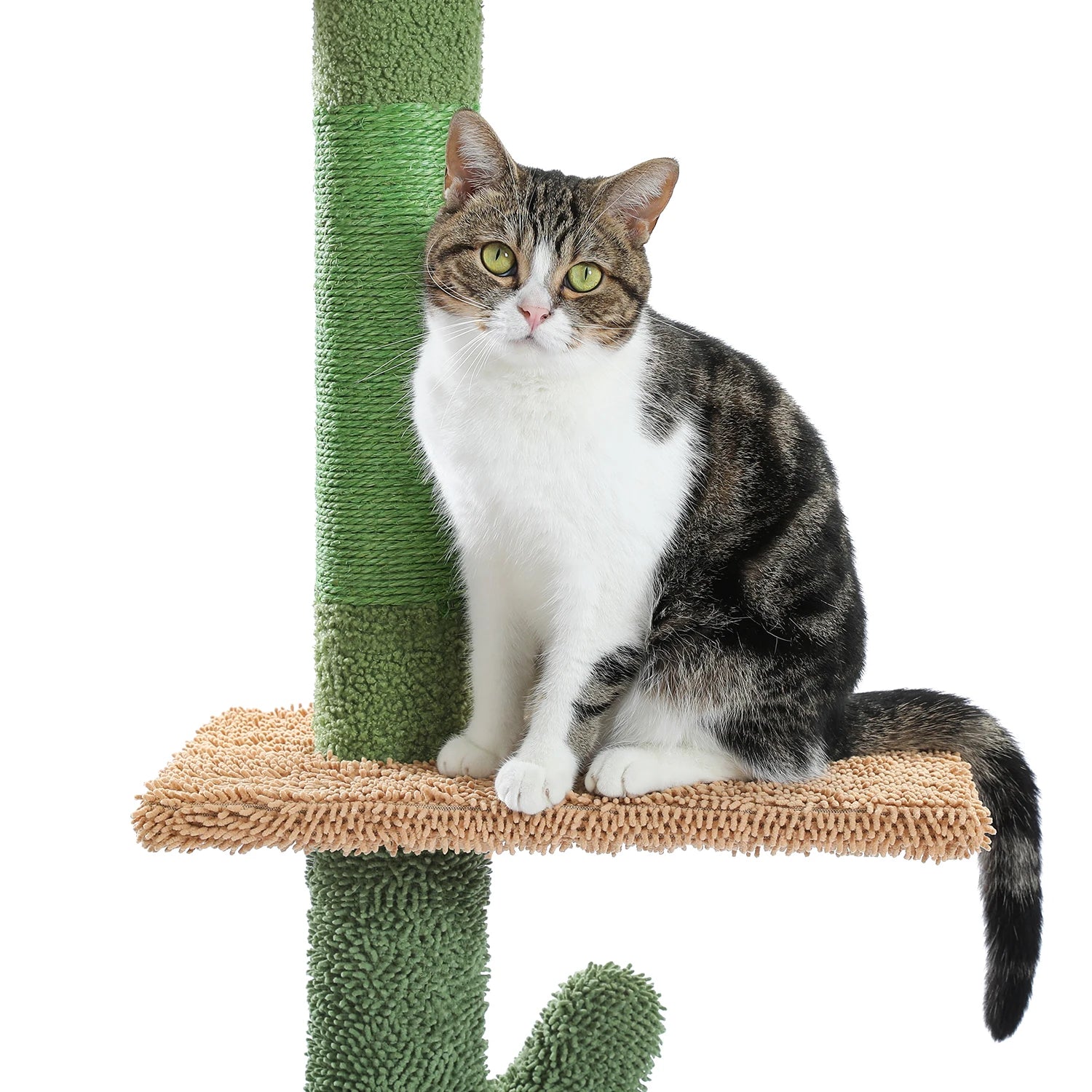 Adjustable 228-274cm Height Floor-to-Ceiling Vertical Cat Tree Stable Tall Cat Climbing Tree Cat Kittens Cat Toy