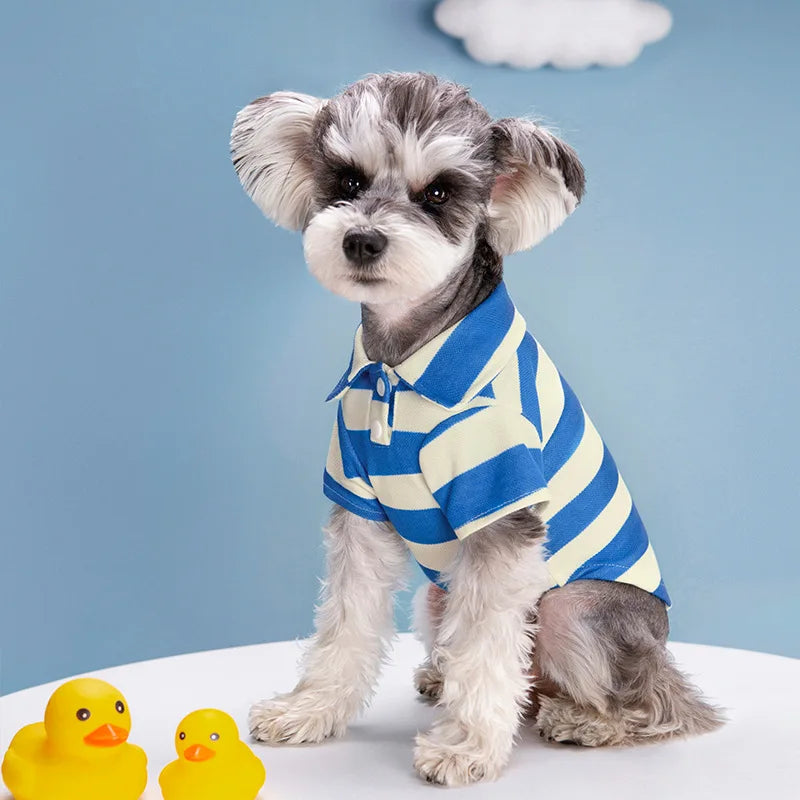 Cute Small dog clothes, all will love adorable clothes