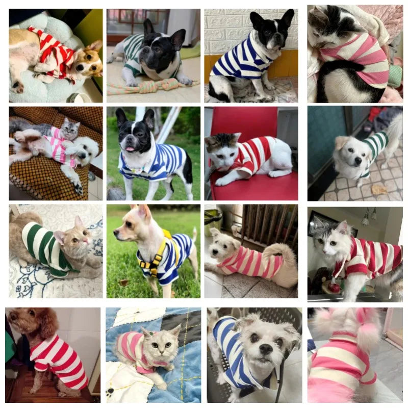 Cute Small dog clothes, all will love adorable clothes