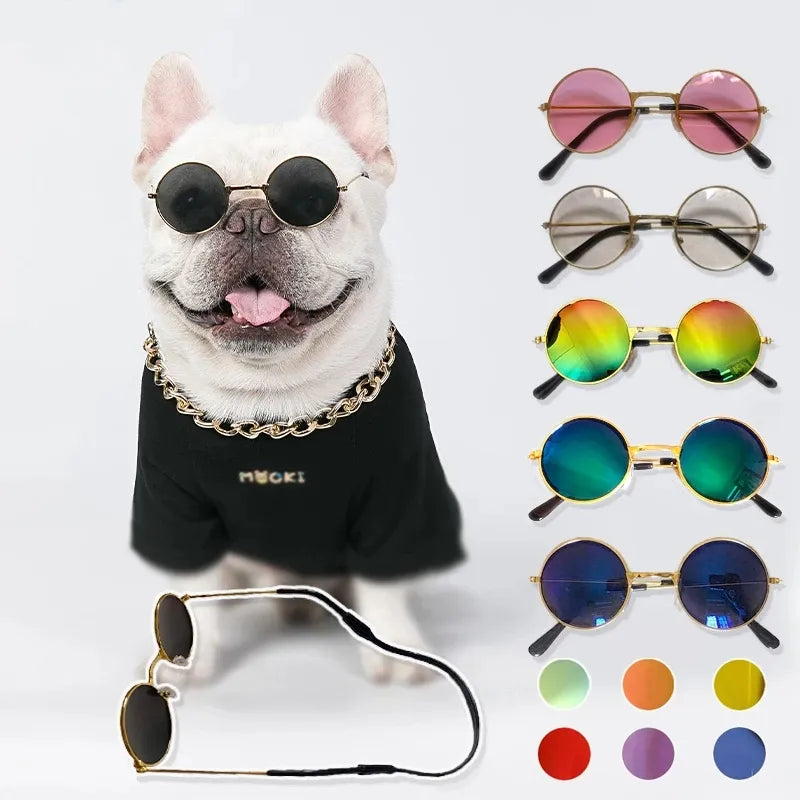 Small dog / cat glasses for cool photos