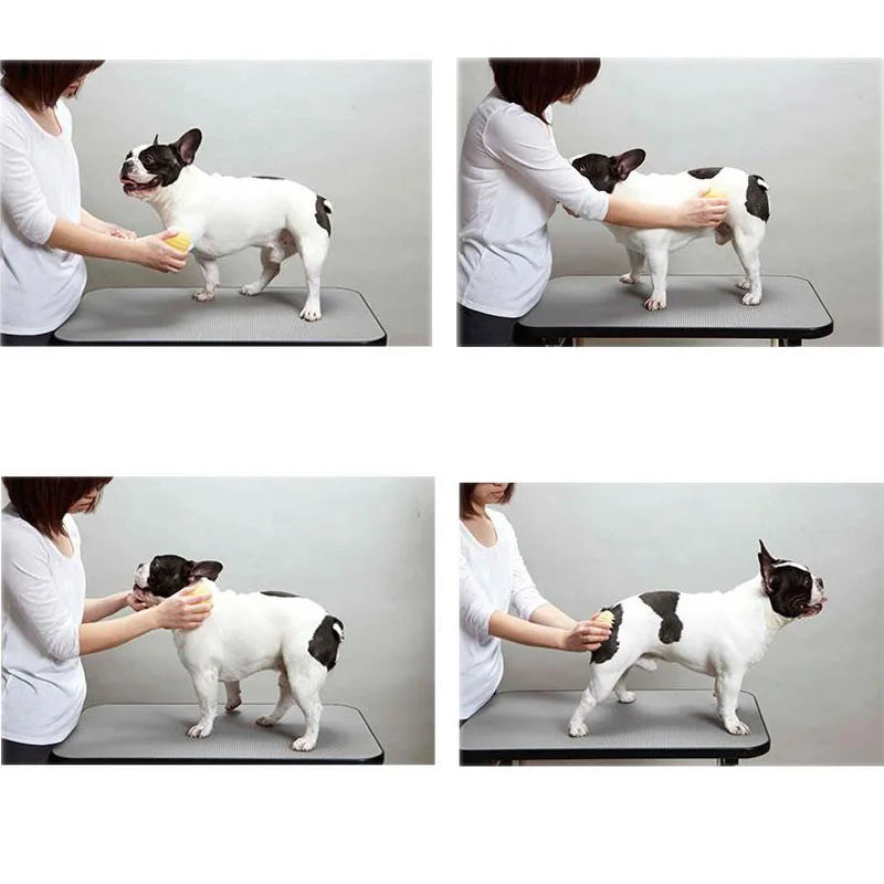 Make your Dog Cat Happy. Massage with Brush Combs Cleaner Puppy Hair Removal Clean unwanted hear.