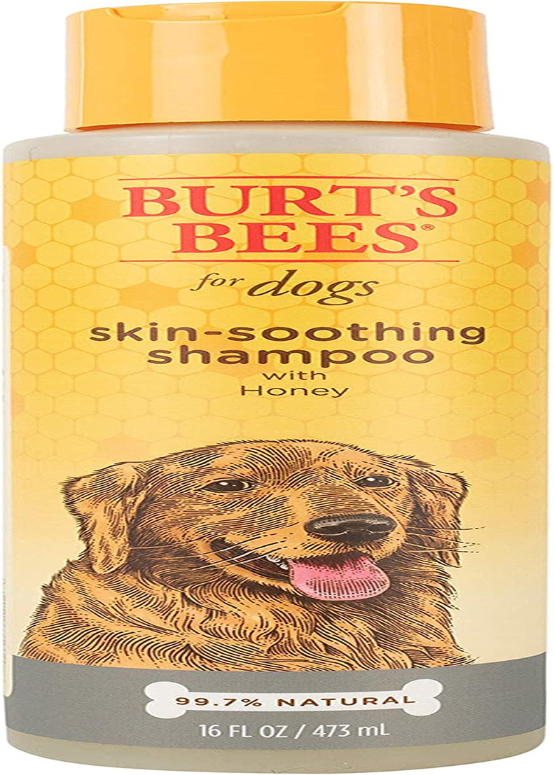 Natural Skin Soothing Shampoo with Honey | Dog Shampoo for All Dogs and Puppies | Safe for Dogs with Dry and Sensitive Skin | Ph Balanced for Dogs - Made in USA, 16 Ounces,Red