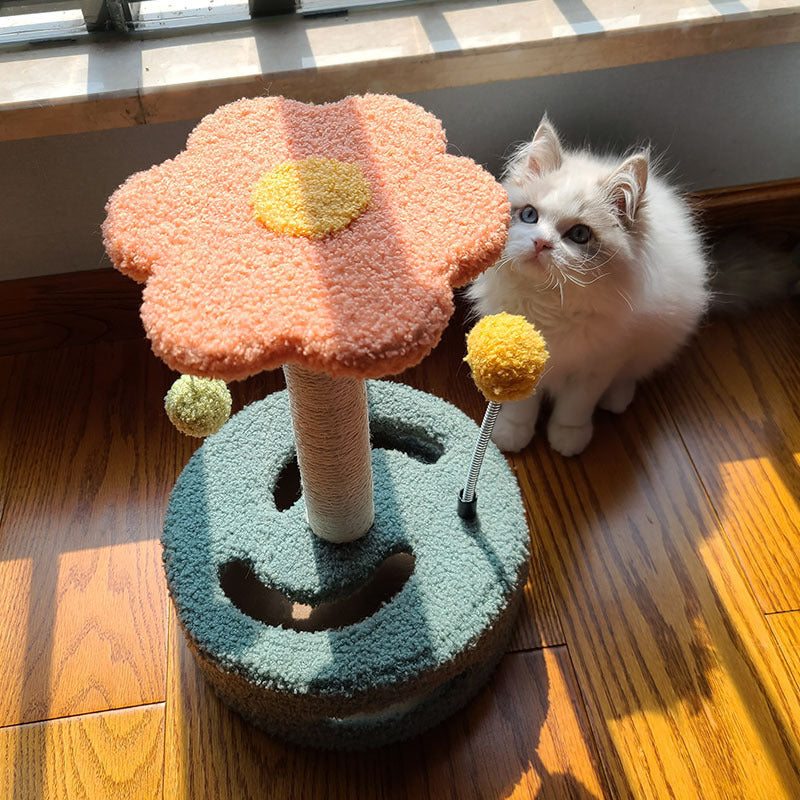 Stop Cat from Scratching furniture / grinding claws with Cat Scratch Board