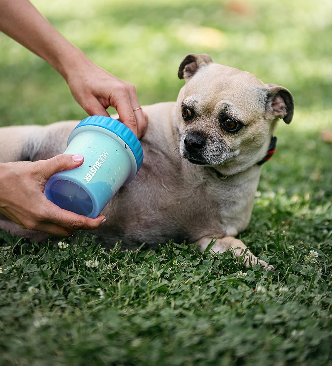 Mudbuster Portable Dog Paw Cleaner - Premium Quality, Blue, Small Size for Pet Supplies and Accessories