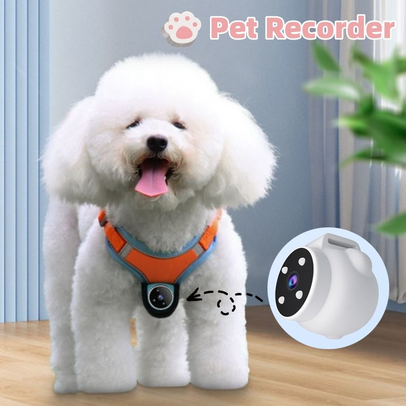 Track your Pets! Record & GPS Collar  forDogs And Cats . Motion Recording Camera only $89.99