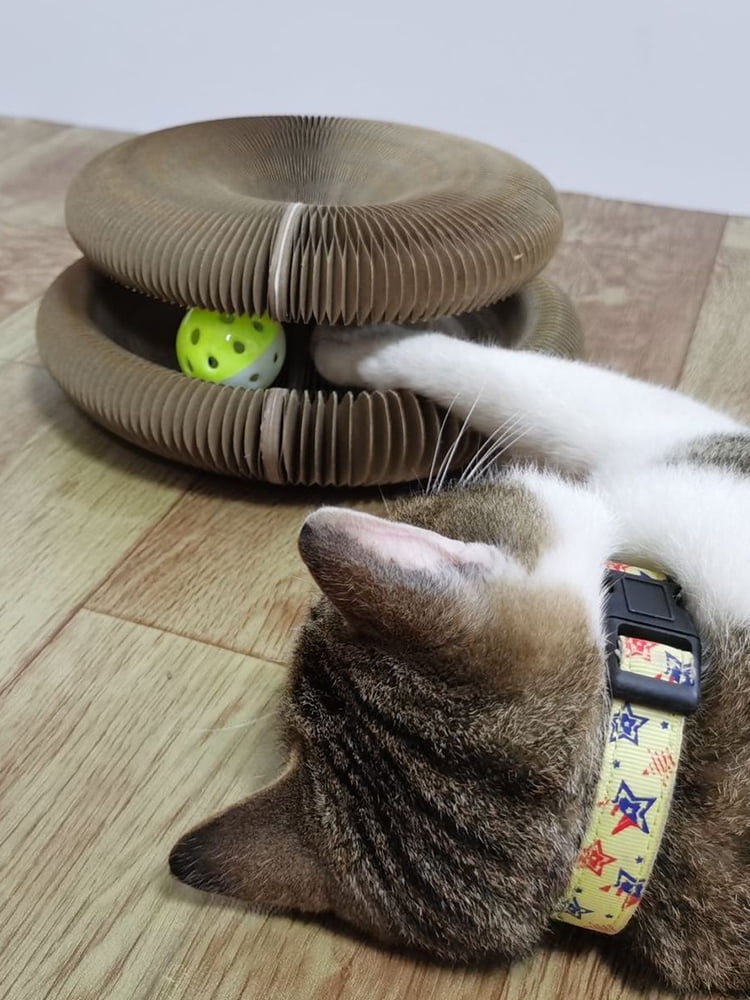 Magic Organ Cat Scratching Board Thickened Durable Cat Scratcher Toys Foldable Cat Grinding Claw Scratching Board Cat Donut Bed Cats Interactive Toys for Pet Kittens