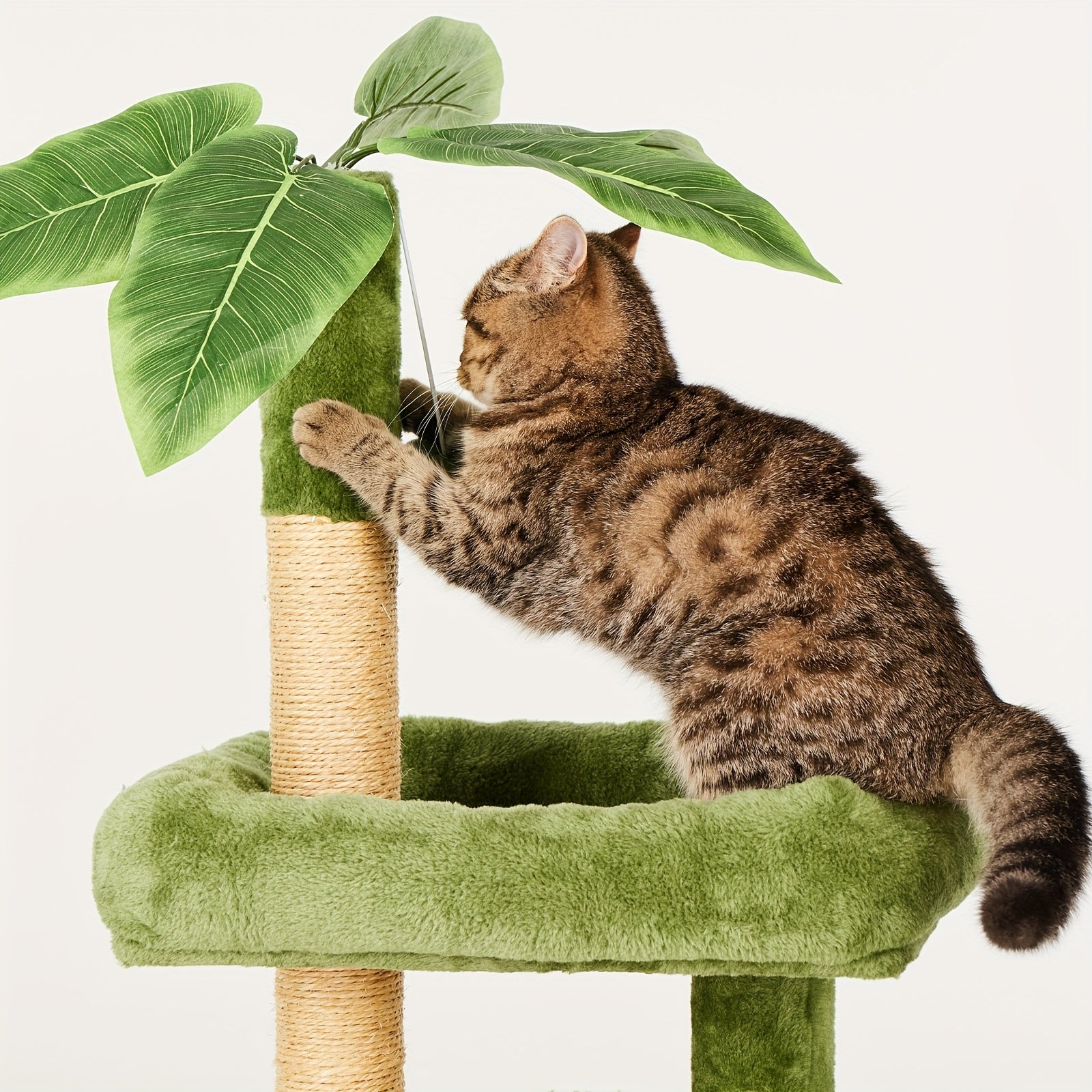 31.5" Cat Tree For Indoor Cats, Cat Tower With Cat Condo, Hanging Ball, Srcathing Post, Green
