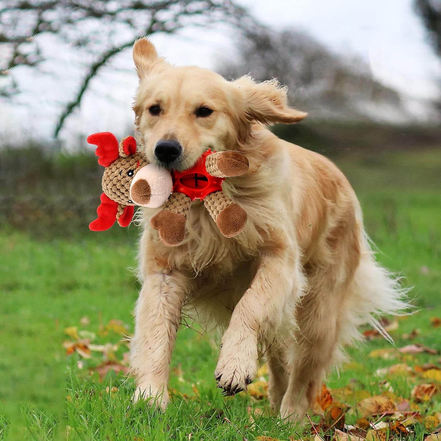 Christmas Squeaky Dog Toys, Durable Latex Rubber Dog Chew Bite Toy Stuffed Dog Toys, Funny Interactive Dog Toys with Crinkle Paper for Puppy Small Medium Pets Dogs (Elk)